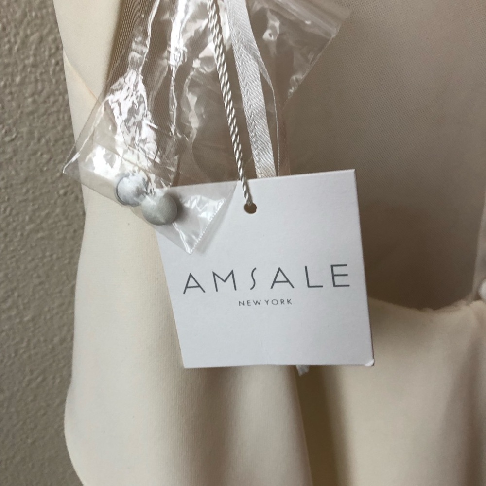 Amsale Demi Silk Crepe Sheer Back Button Ivory Wedding Gown in Size 14 - Picture 9 of 10